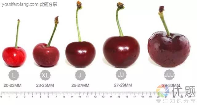 车厘子xld什么级别